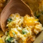 chicken broccoli rice casserole 2026 07 21 030405 494x1024 1