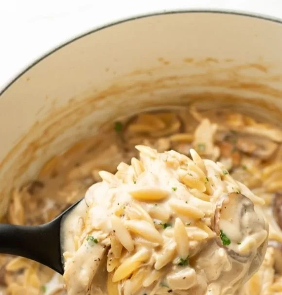 Delicious Chicken Marsala Orzo with mushrooms and herbs on a white plate