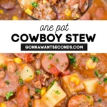 cowboy stew 2026 07 21 030401 512x1024 1