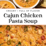 creamy cajun chicken pasta soup 2026 07 21 030418 569x1024 1