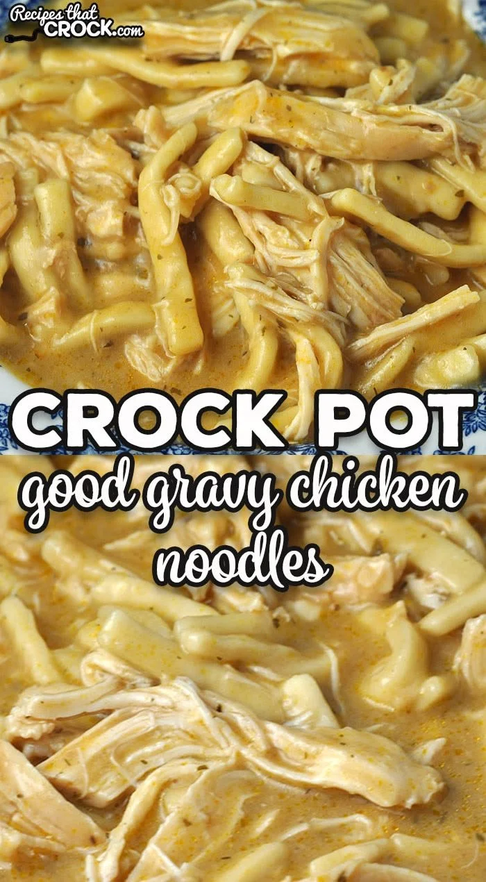 Good Gravy Crock Pot Chicken Noodles served in a bowl, garnished with herbs.