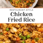 restaurant style chicken fried rice 2026 07 21 030348 569x1024 1