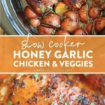 slow cooker honey garlic chicken and veggies 2026 07 21 030410 488x1024 1